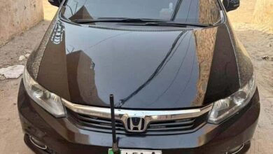 Honda Civic Rebirth for sale